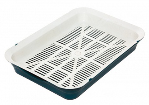 кошачий лоток