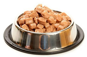 влажный корм