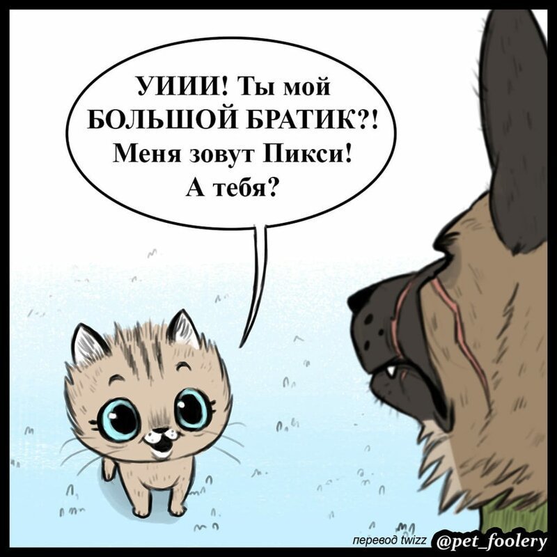 Брут и Пикси