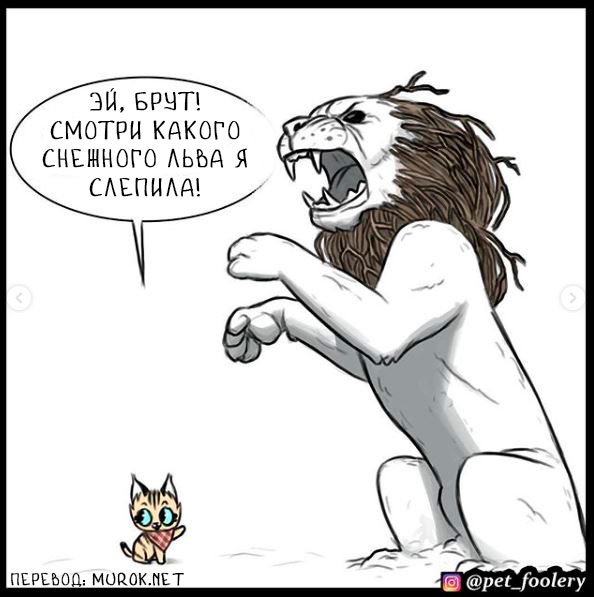 брут и пикси