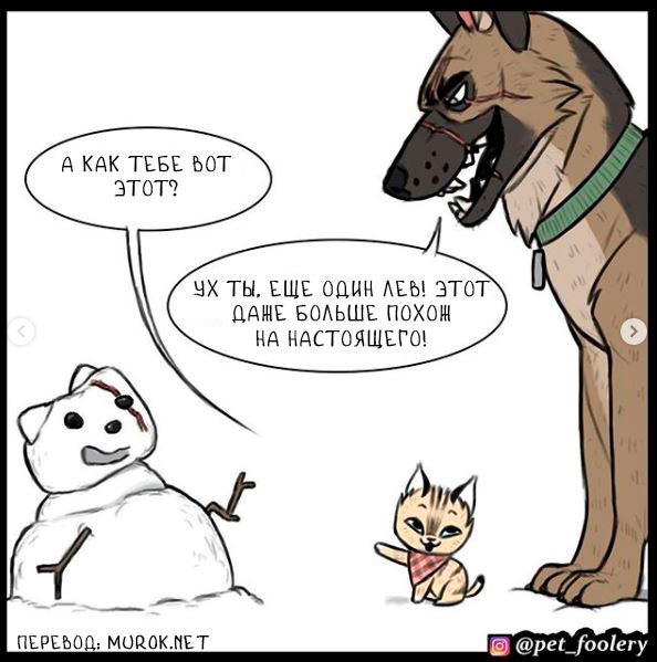 брут и пикси