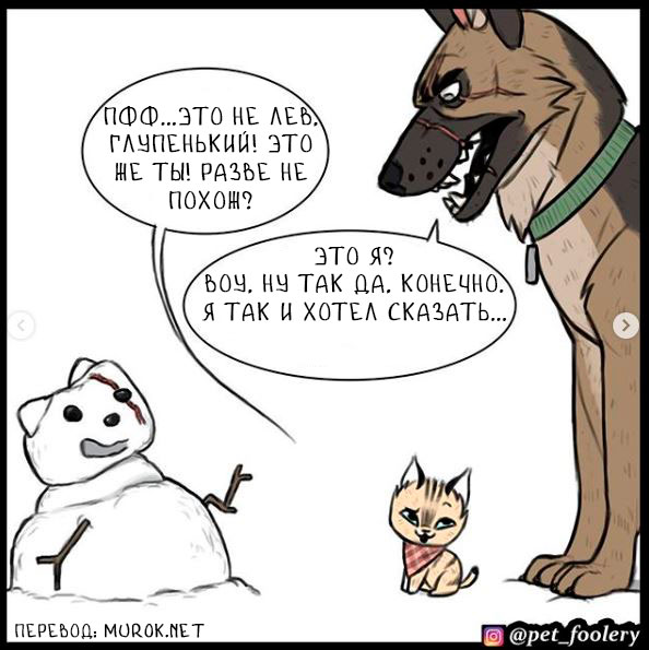 брут и пикси