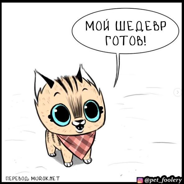 брут и пикси