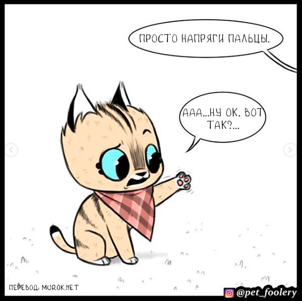 брут и пикси