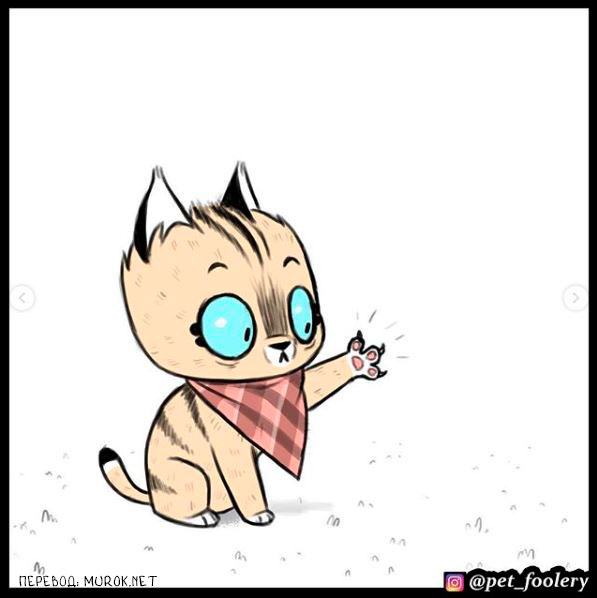 брут и пикси