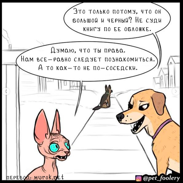 брут и пикси