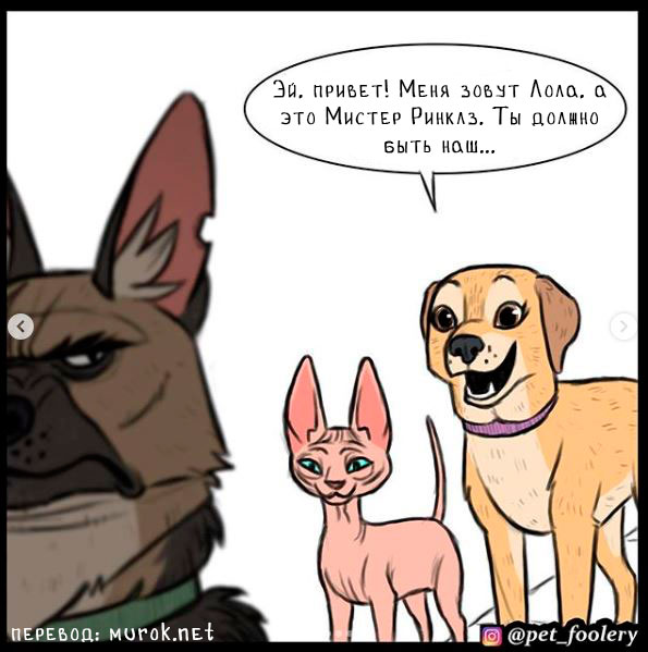 лола и мистер ринклз