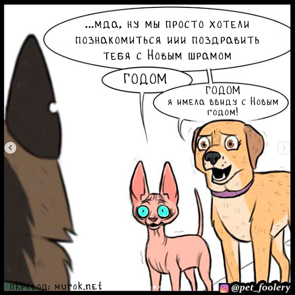 брут и пикси