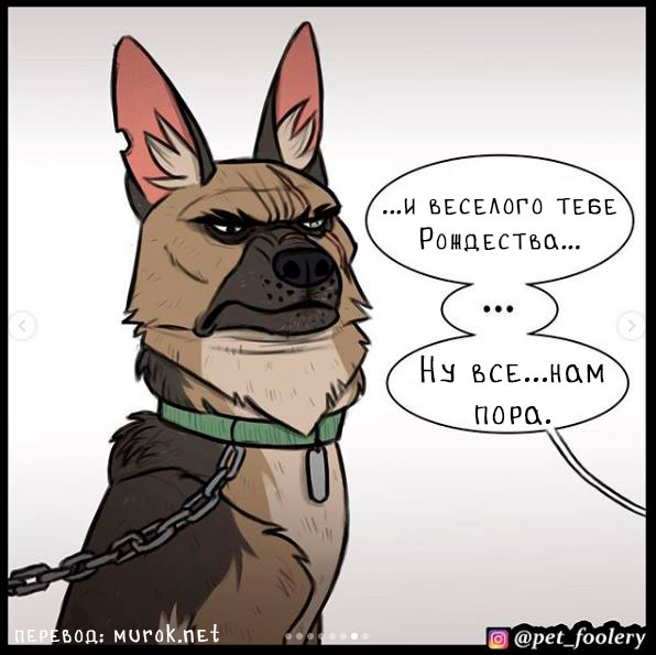 брут и пикси