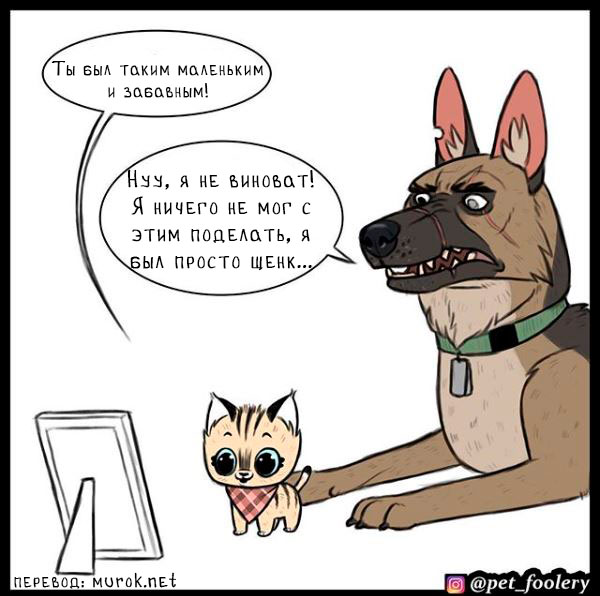 брут и пикси