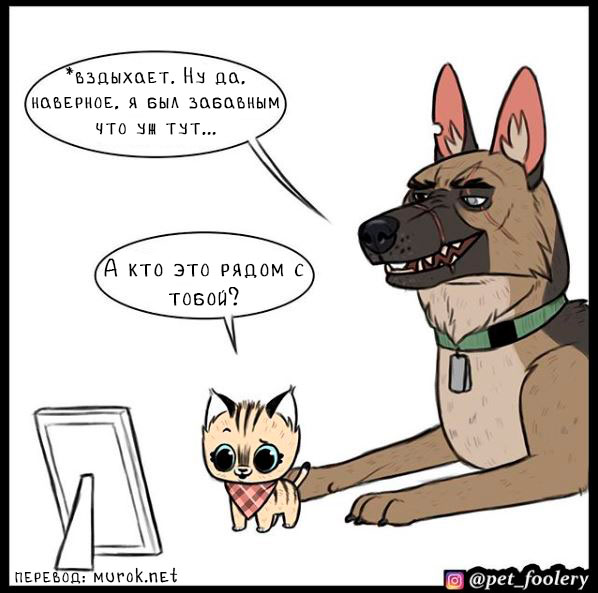 брут и пикси