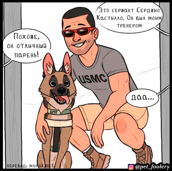 брут и пикси
