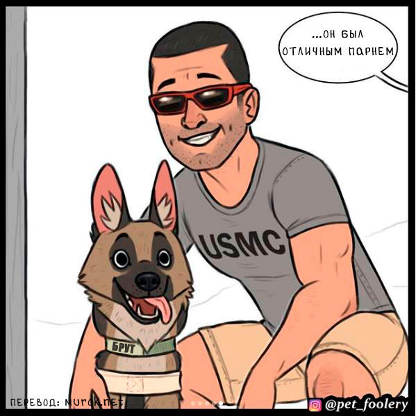 брут и пикси