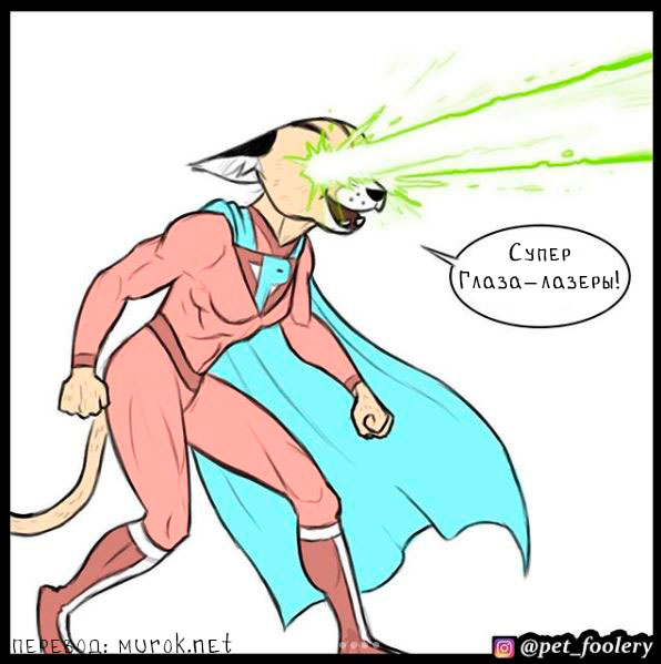 брут и пикси