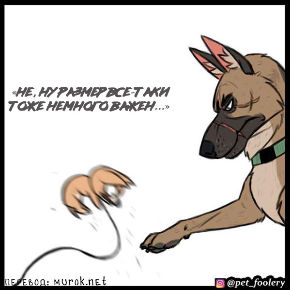 брут и пикси