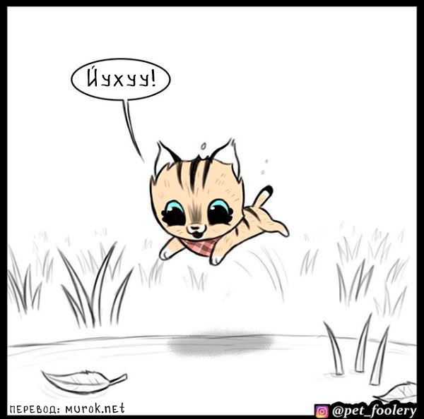 брут и пикси