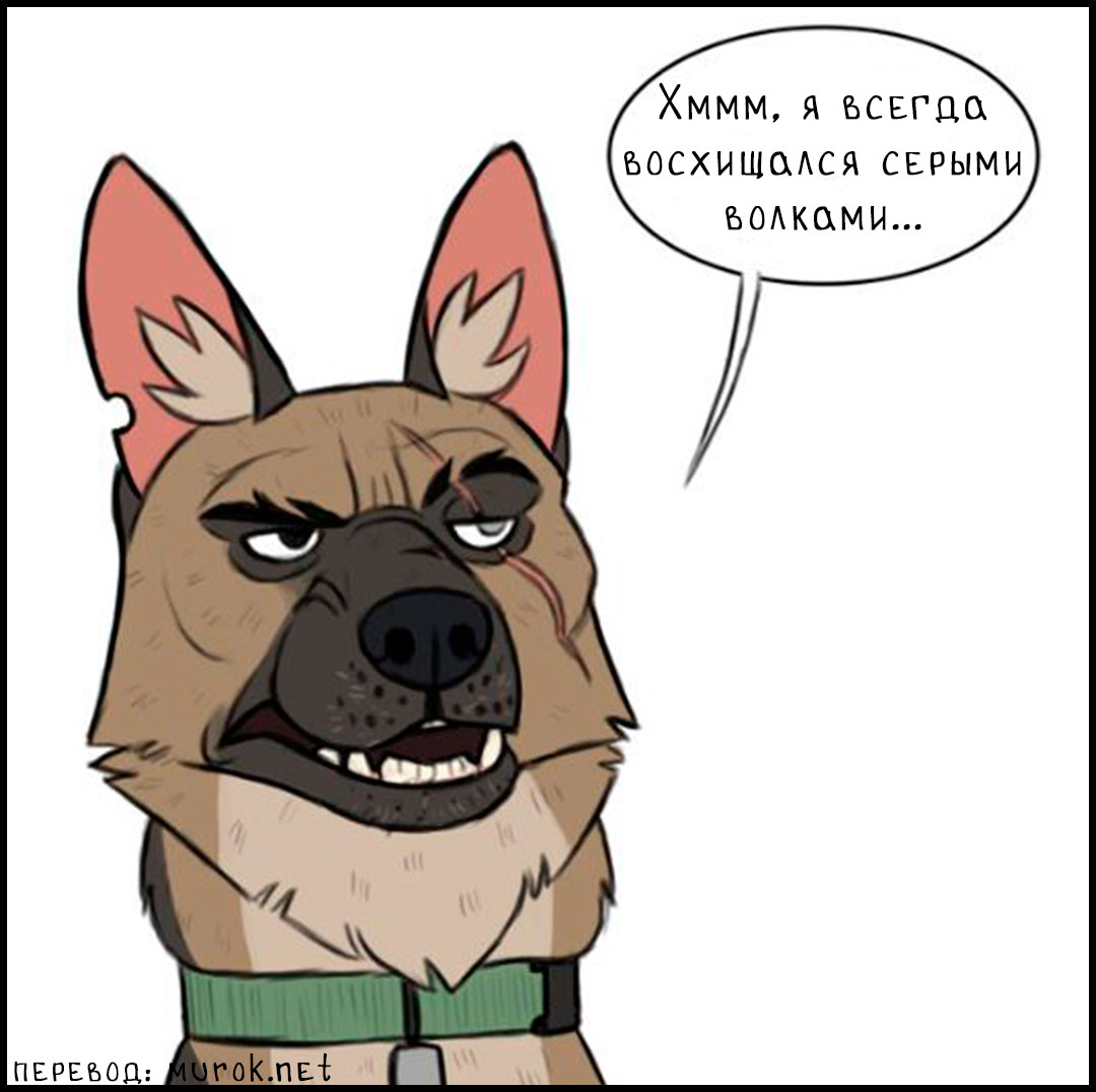 брут и пикси