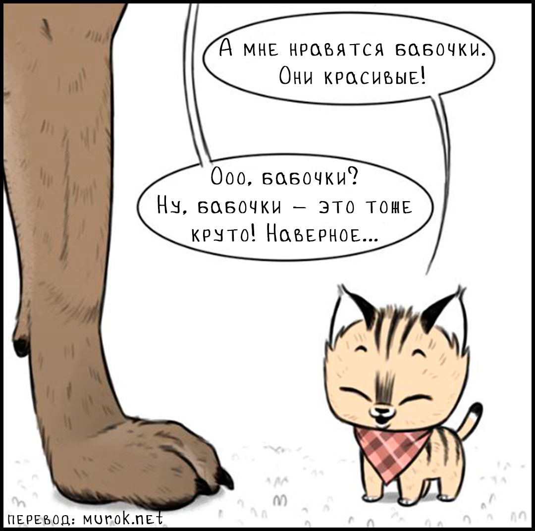 брут и пикси