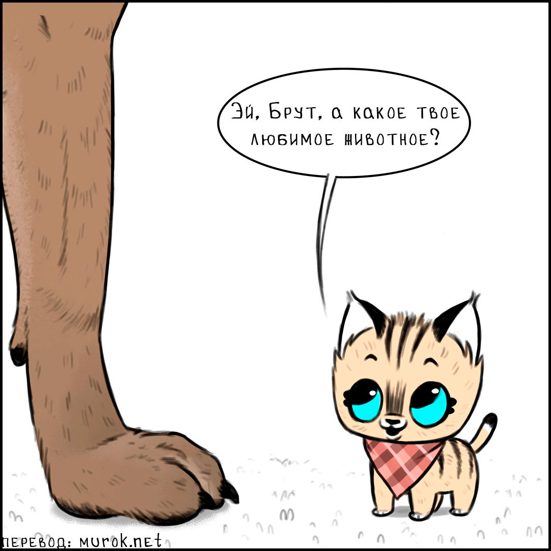 брут и пикси