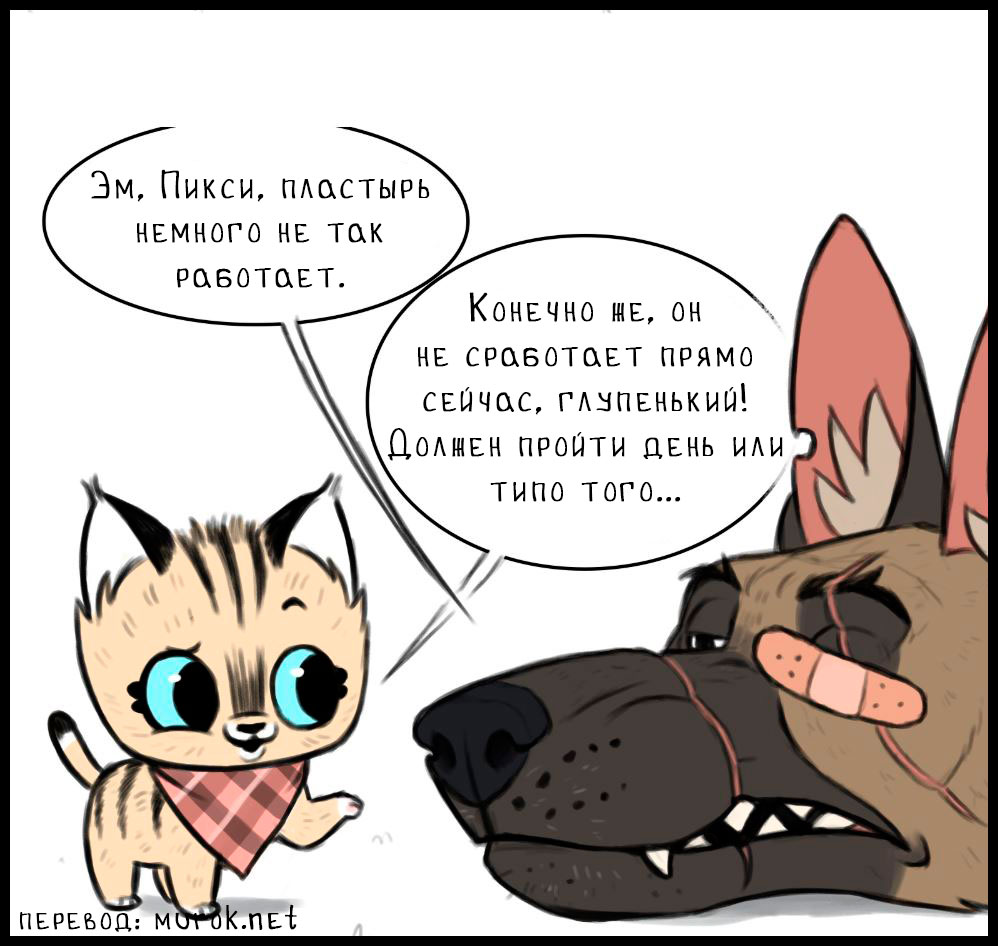 брут и пикси