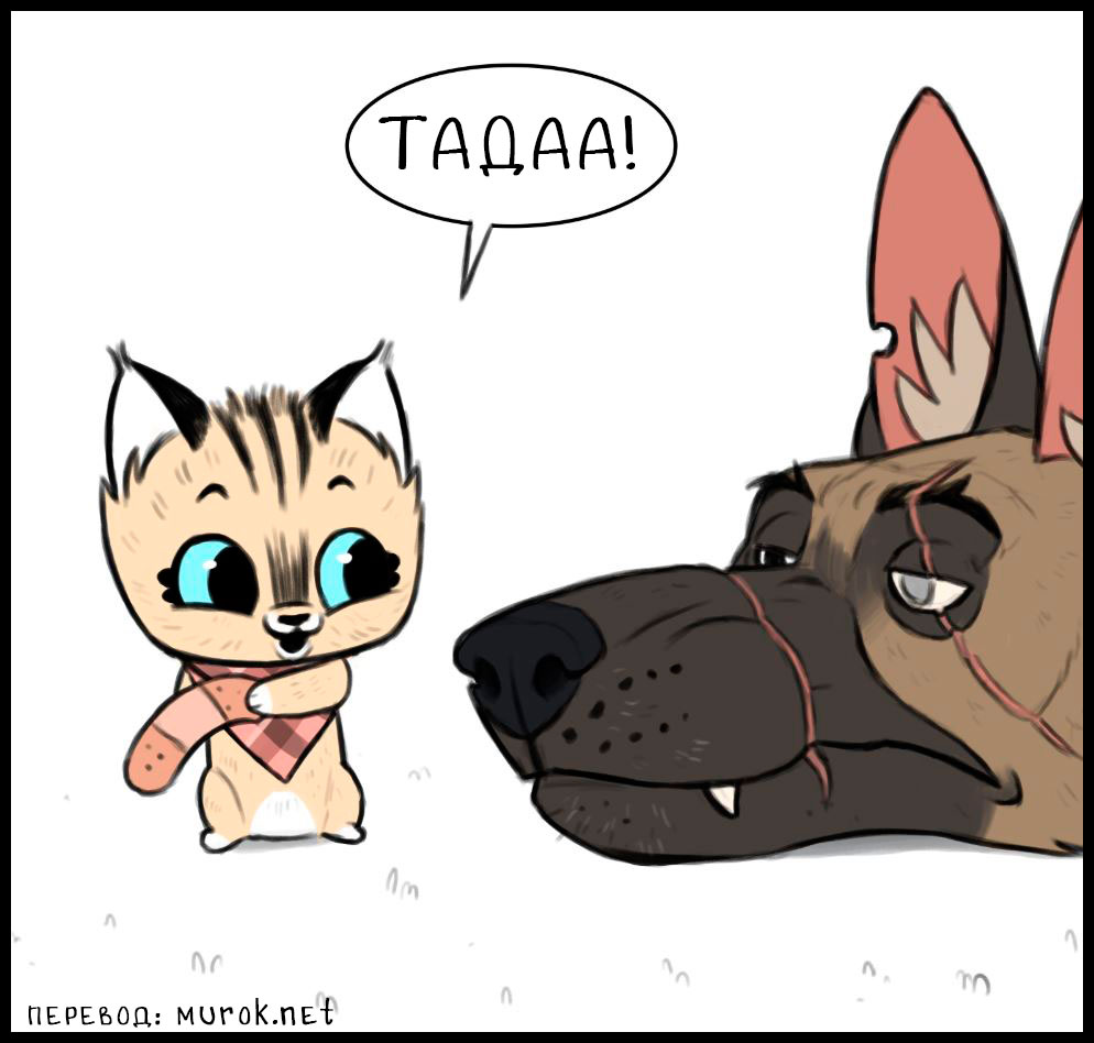 брут и пикси