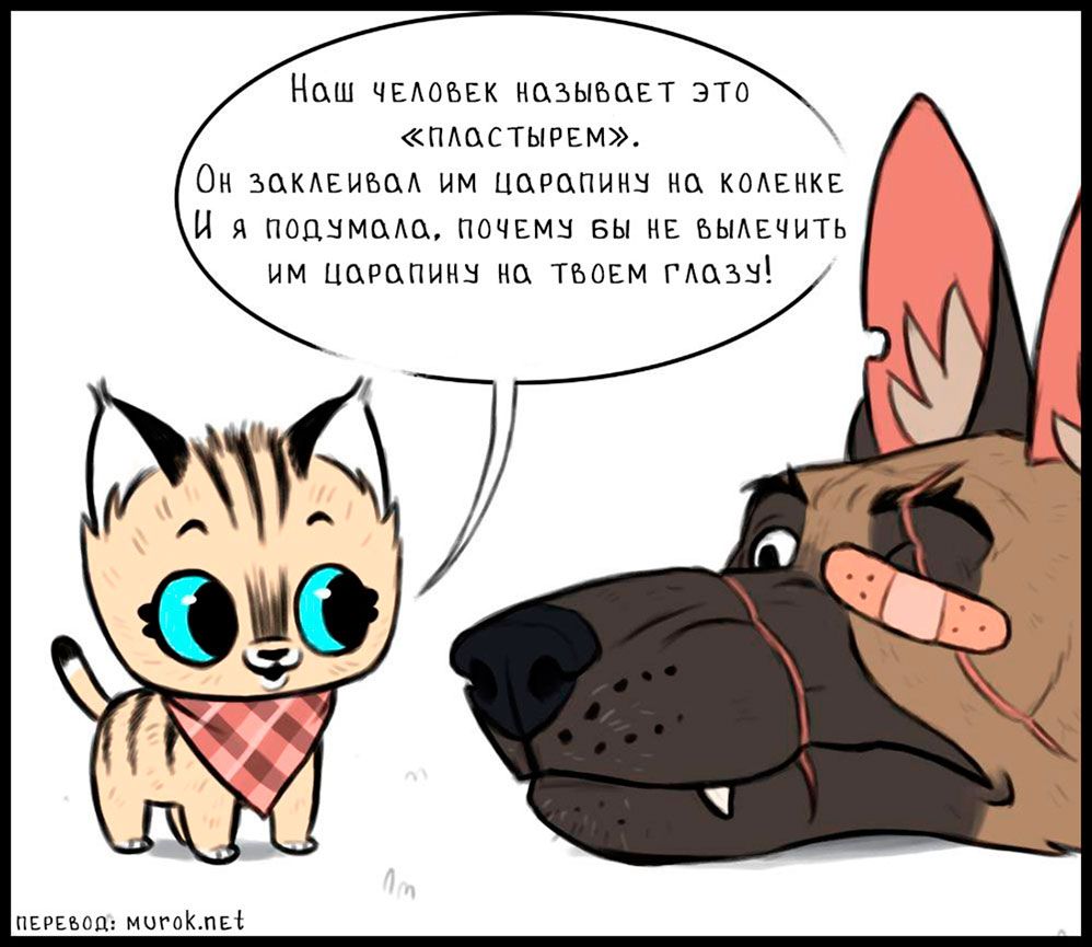 брут и пикси