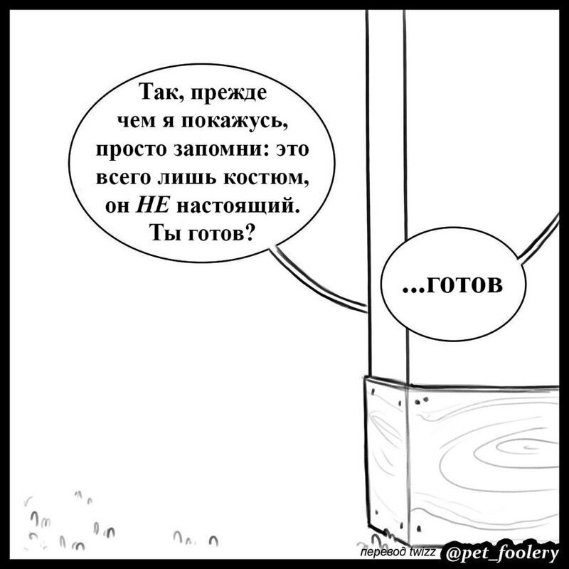 брут и пикси