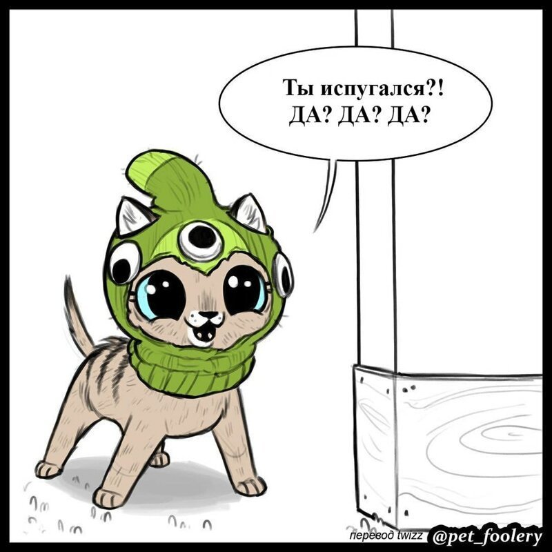 брут и пикси