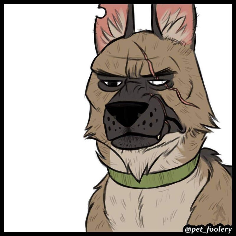 брут и пикси