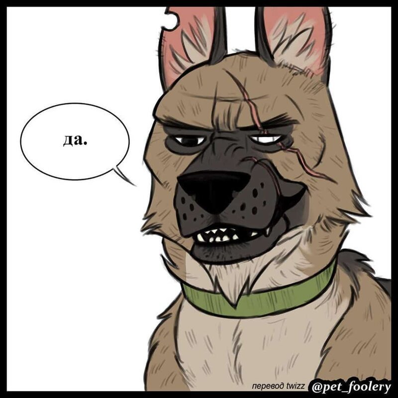 брут и пикси