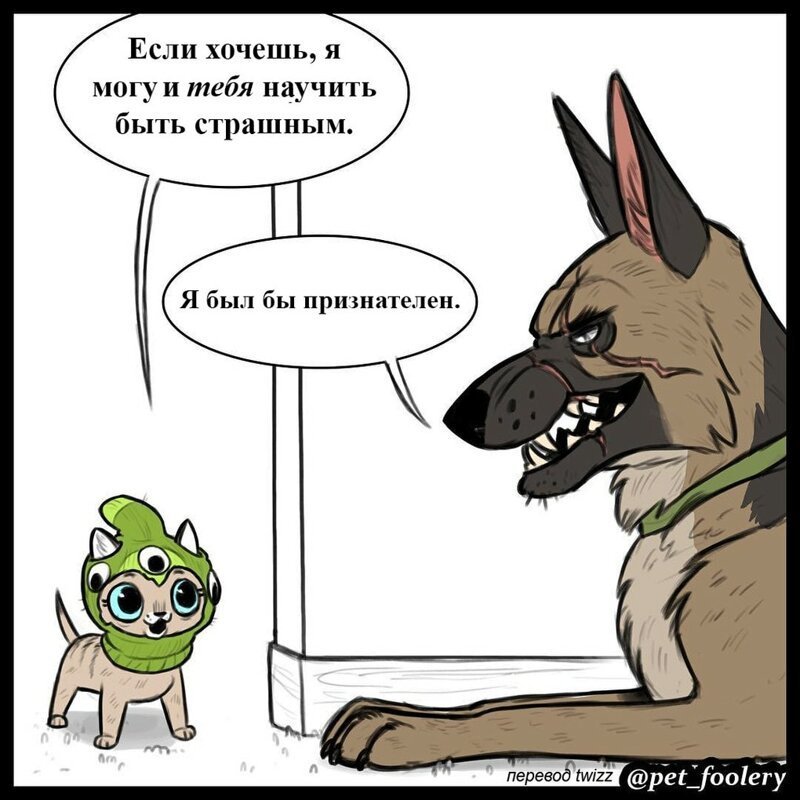 брут и пикси