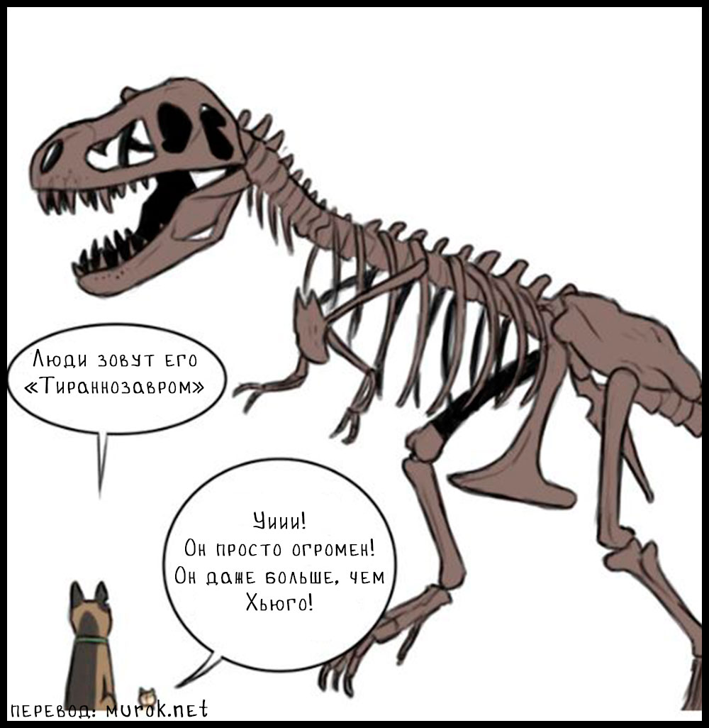 брут и пикси