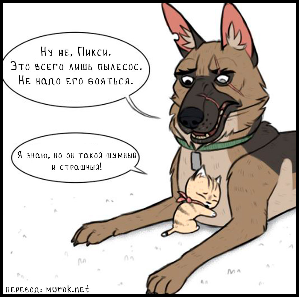 брут и пикси