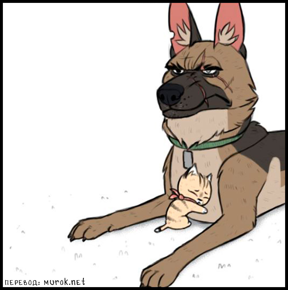 брут и пикси