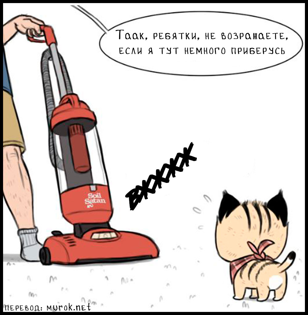 брут и пикси