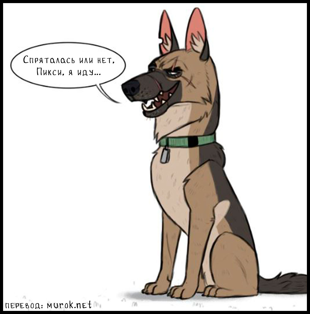 брут и пикси