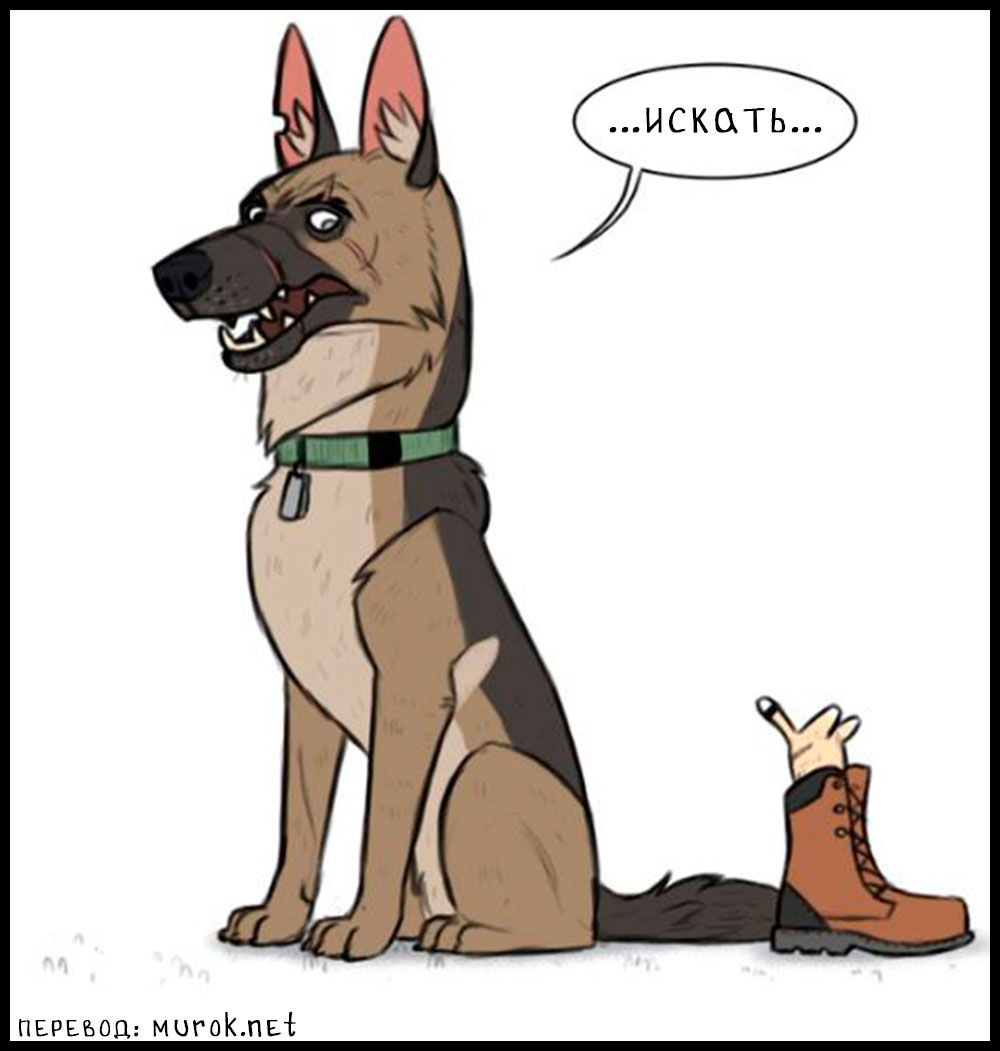 брут и пикси