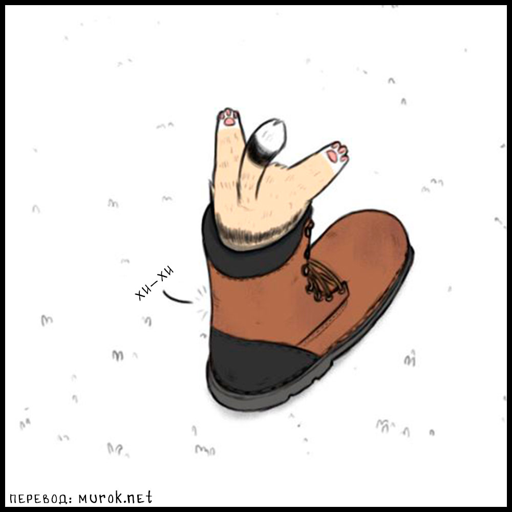 брут и пикси