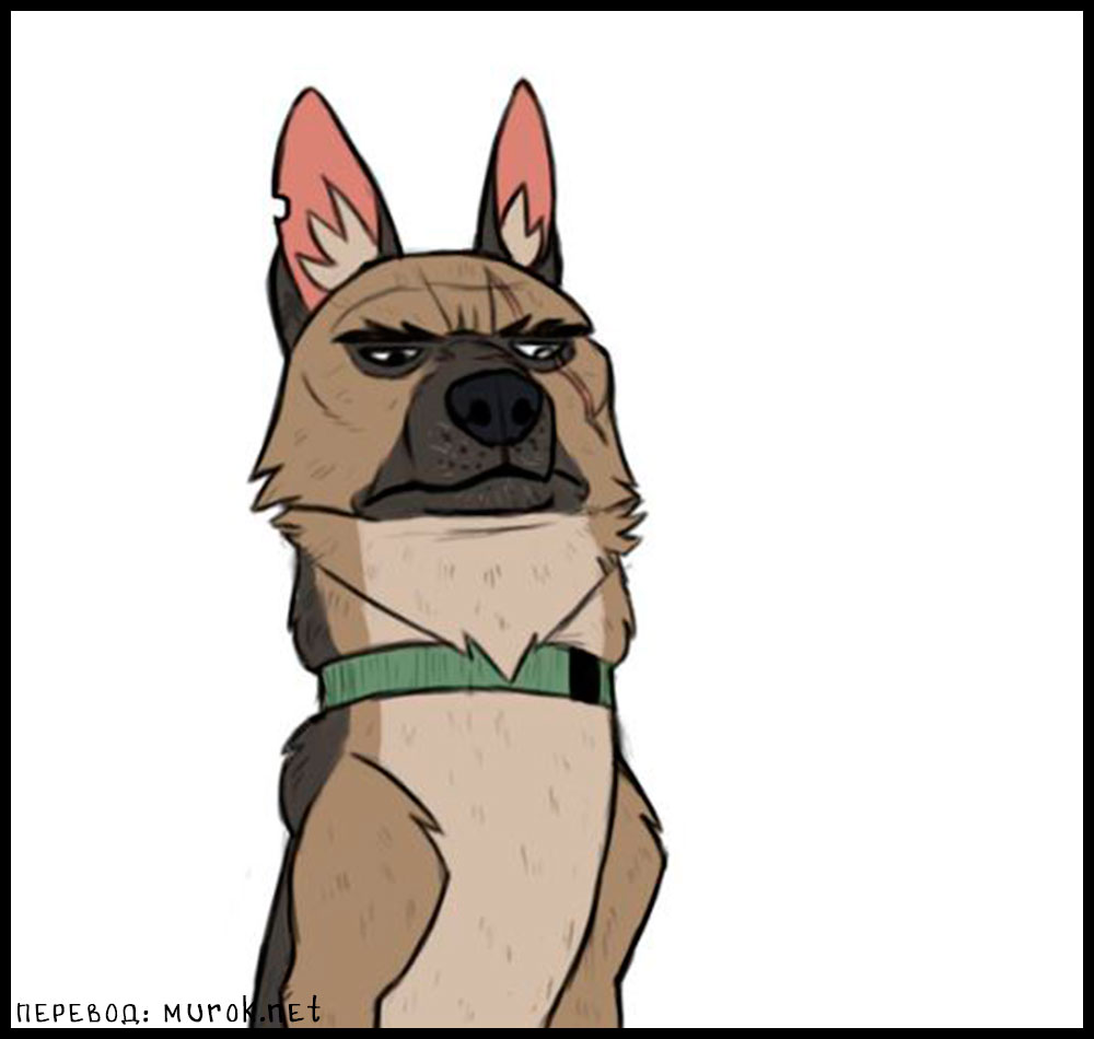 брут и пикси