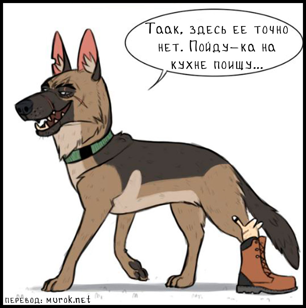 брут и пикси