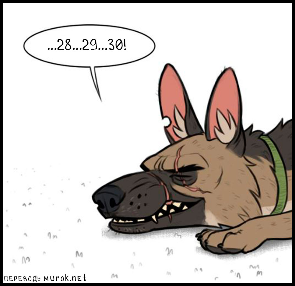 брут и пикси