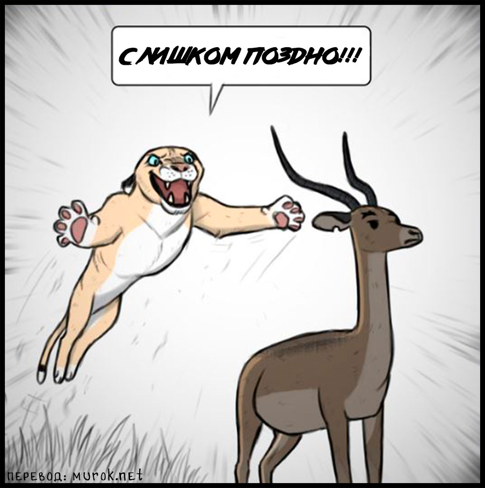 брут и пикси