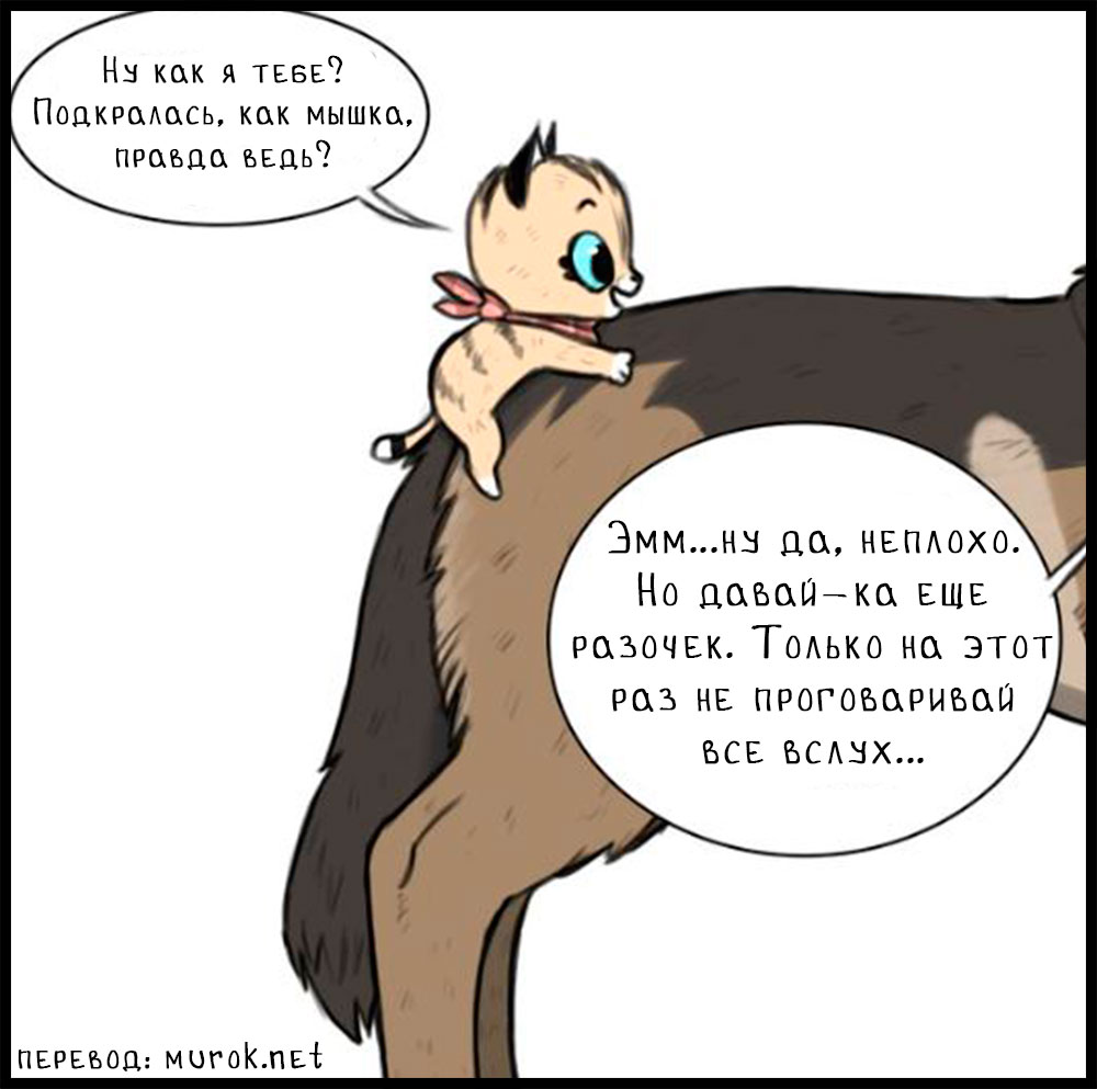 брут и пикси