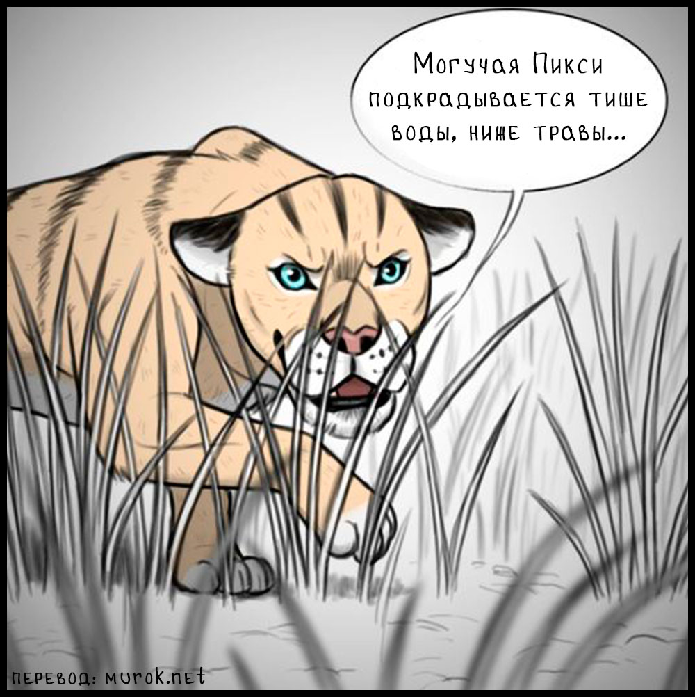 брут и пикси