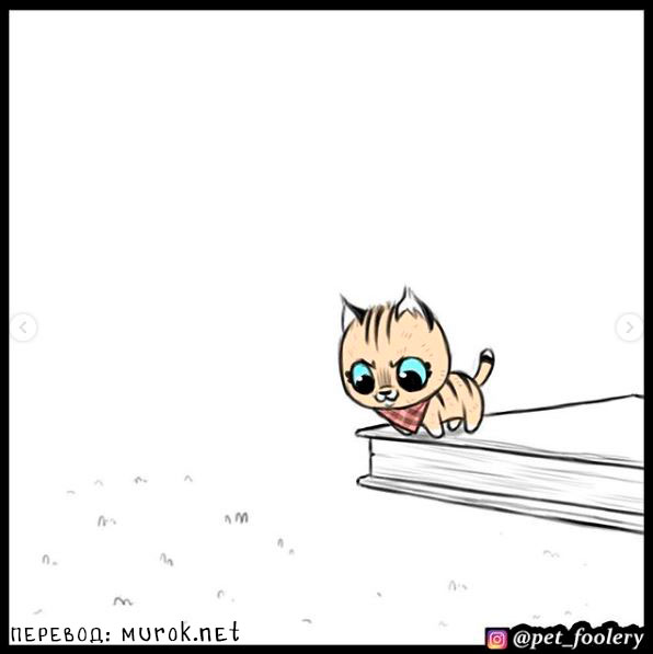 брут и пикси