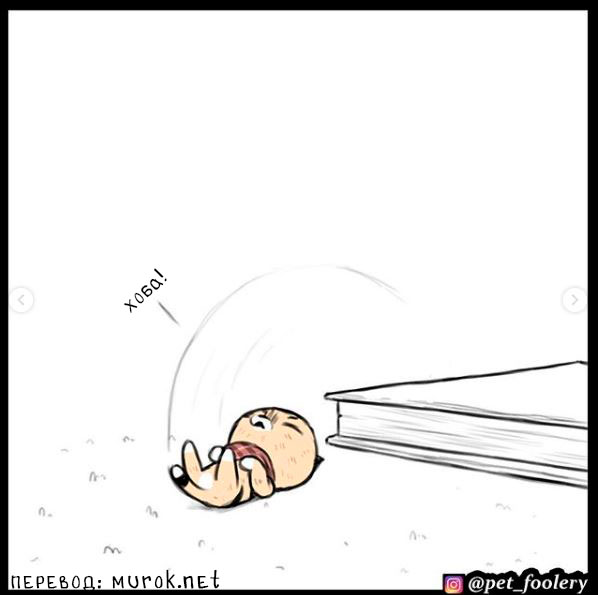 брут и пикси