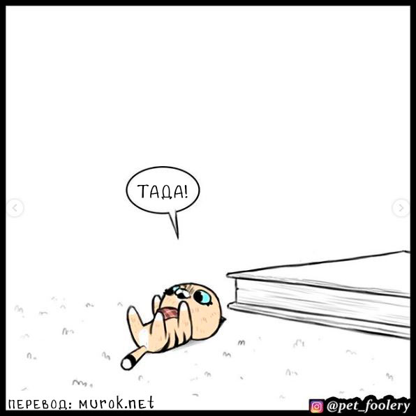 брут и пикси