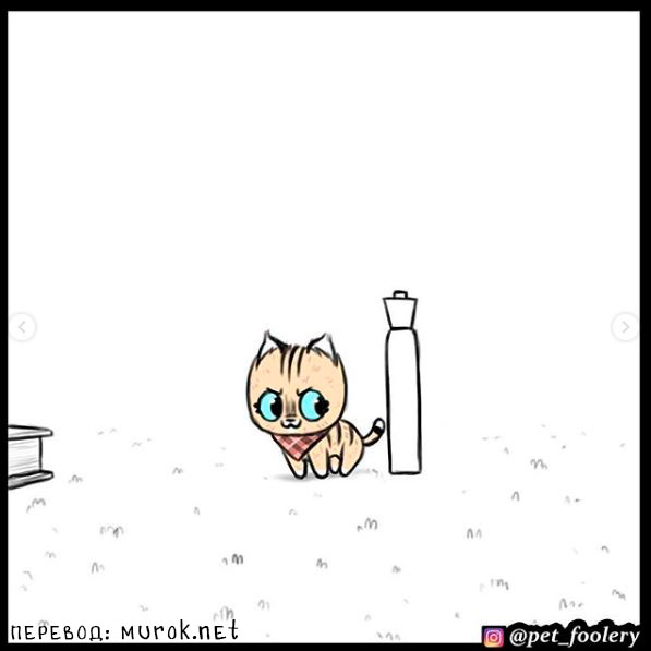 брут и пикси