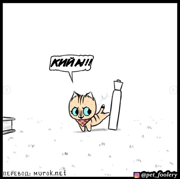 брут и пикси