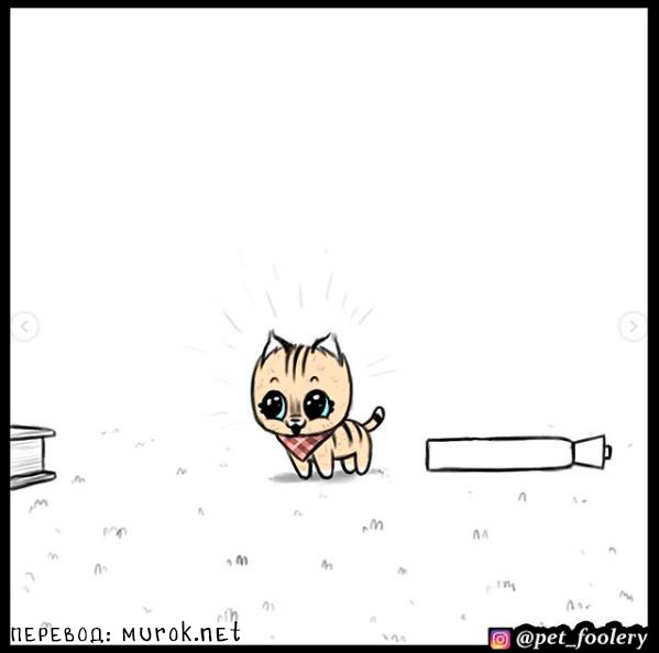 брут и пикси